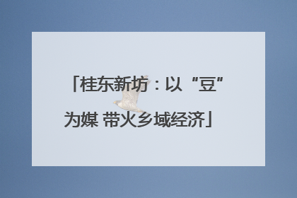 桂东新坊：以“豆”为媒 带火乡域经济