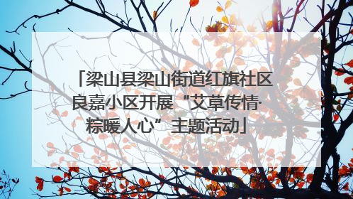 梁山县梁山街道红旗社区良嘉小区开展“艾草传情·粽暖人心”主题活动