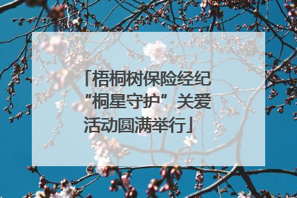 梧桐树保险经纪“桐星守护”关爱活动圆满举行