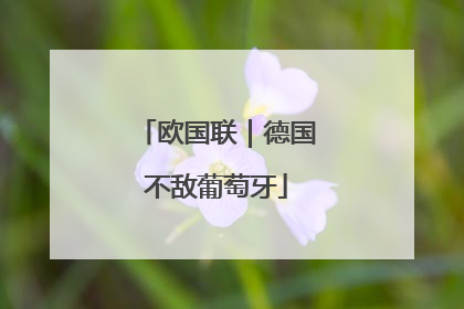 欧国联｜德国不敌葡萄牙