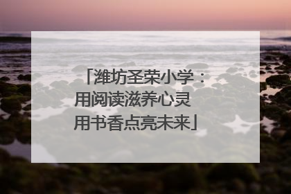 潍坊圣荣小学：用阅读滋养心灵 用书香点亮未来