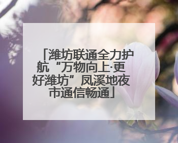 潍坊联通全力护航“万物向上·更好潍坊”凤溪地夜市通信畅通