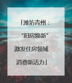 潍坊青州：“旧房焕新”激发住房领域消费新活力