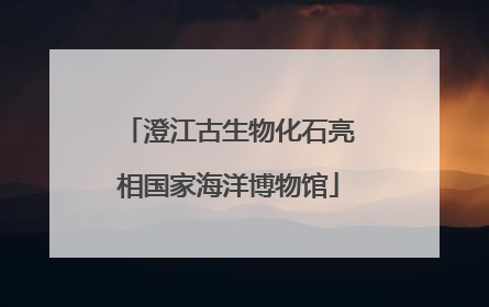 澄江古生物化石亮相国家海洋博物馆
