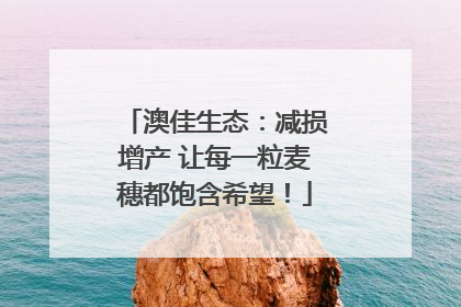 澳佳生态：减损增产 让每一粒麦穗都饱含希望！