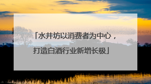 水井坊以消费者为中心，打造白酒行业新增长极