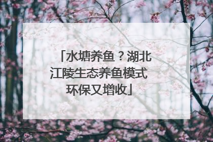水塘养鱼？湖北江陵生态养鱼模式环保又增收