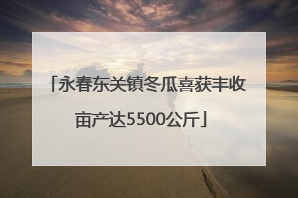 永春东关镇冬瓜喜获丰收 亩产达5500公斤
