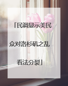 民调显示美民众对洛杉矶之乱看法分裂