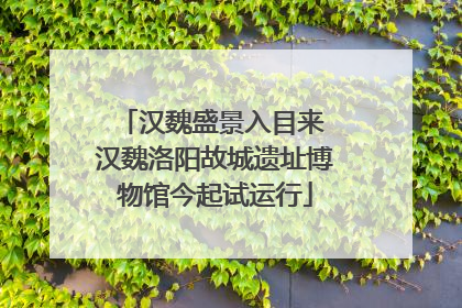 汉魏盛景入目来 汉魏洛阳故城遗址博物馆今起试运行