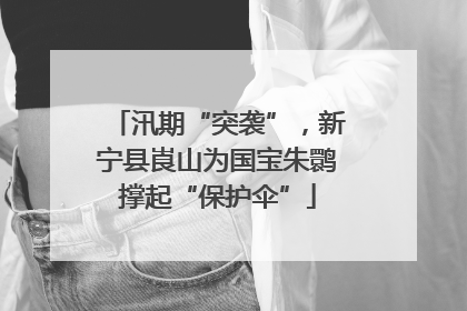 汛期“突袭”，新宁县崀山为国宝朱鹮撑起“保护伞”