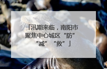 汛期来临，南阳市聚焦中心城区“防”“减”“救”