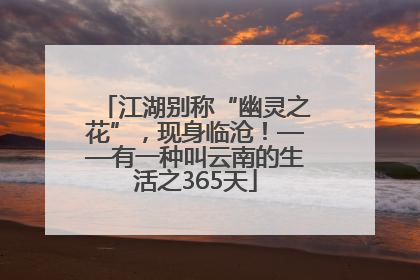 江湖别称“幽灵之花”，现身临沧！——有一种叫云南的生活之365天