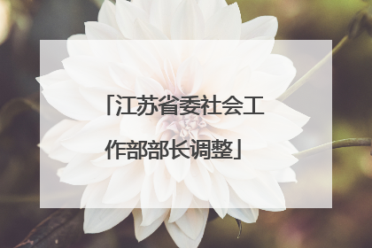 江苏省委社会工作部部长调整