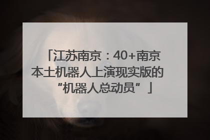 江苏南京：40+南京本土机器人上演现实版的“机器人总动员”
