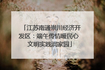 江苏南通崇川经济开发区：端午传情暖民心 文明实践润家园