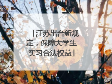 江苏出台新规定，保障大学生实习合法权益