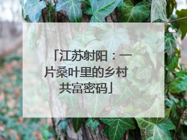 江苏射阳：一片桑叶里的乡村共富密码