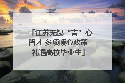 江苏无锡“青”心留才 多项暖心政策礼遇高校毕业生
