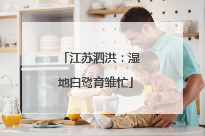 江苏泗洪：湿地白鹭育雏忙