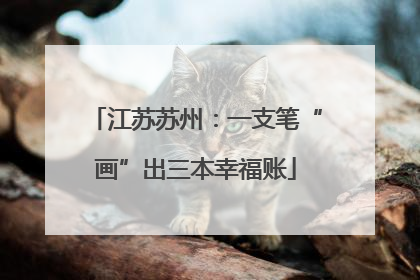 江苏苏州：一支笔“画”出三本幸福账