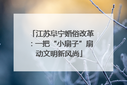 江苏阜宁婚俗改革：一把“小扇子”扇动文明新风尚