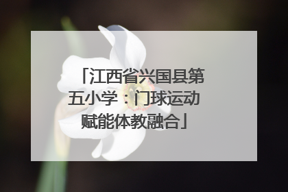 江西省兴国县第五小学：门球运动赋能体教融合