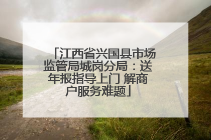 江西省兴国县市场监管局城岗分局：送年报指导上门 解商户服务难题
