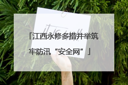 江西永修多措并举筑牢防汛“安全网”