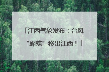 江西气象发布：台风“蝴蝶”移出江西！
