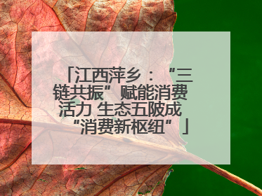 江西萍乡：“三链共振”赋能消费活力 生态五陂成“消费新枢纽”