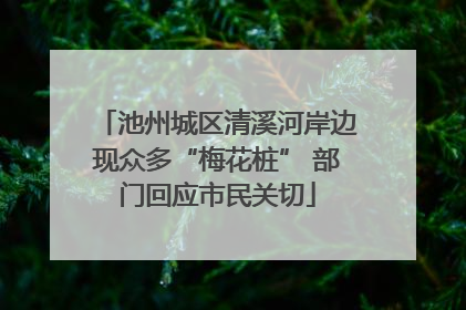 池州城区清溪河岸边现众多“梅花桩” 部门回应市民关切