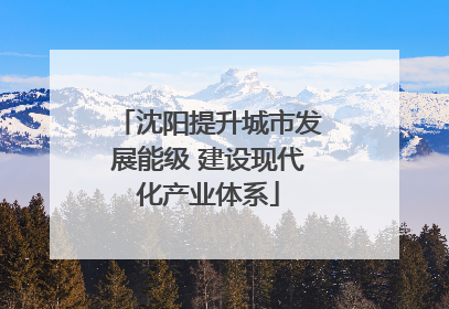 沈阳提升城市发展能级 建设现代化产业体系