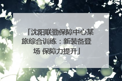 沈阳联勤保障中心某旅综合训练：新装备登场 保障力提升