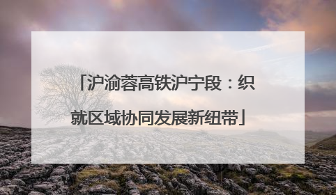 沪渝蓉高铁沪宁段：织就区域协同发展新纽带