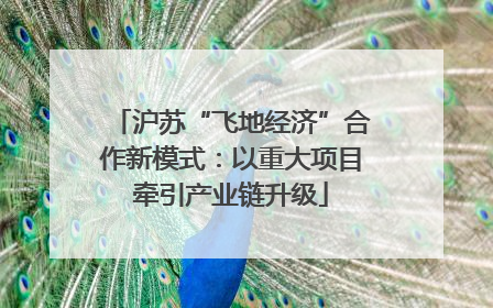 沪苏“飞地经济”合作新模式：以重大项目牵引产业链升级