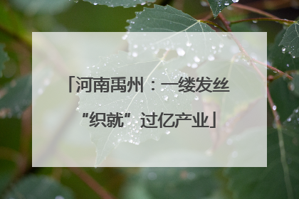 河南禹州：一缕发丝“织就”过亿产业