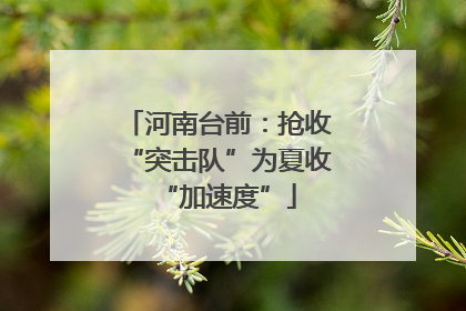 河南台前：抢收“突击队”为夏收“加速度”