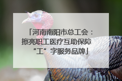 河南南阳市总工会：擦亮职工医疗互助保障“工”字服务品牌