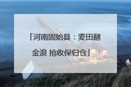 河南固始县：麦田翻金浪 抢收保归仓