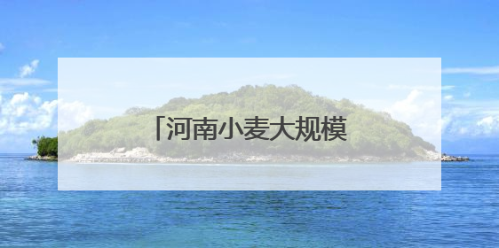 河南小麦大规模机收基本结束