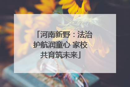 河南新野：法治护航润童心 家校共育筑未来