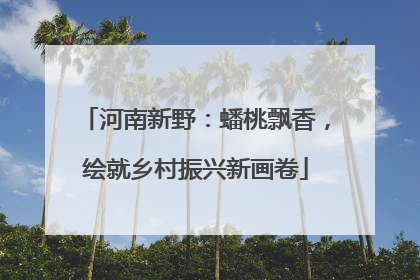 河南新野：蟠桃飘香，绘就乡村振兴新画卷
