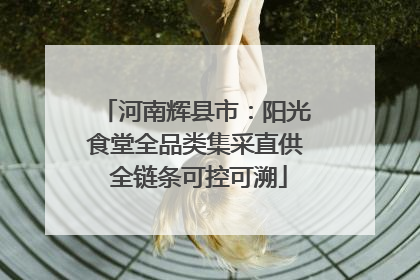 河南辉县市：阳光食堂全品类集采直供 全链条可控可溯