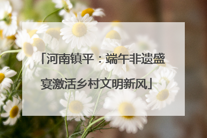 河南镇平：端午非遗盛宴激活乡村文明新风