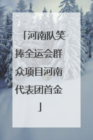 河南队笑捧全运会群众项目河南代表团首金