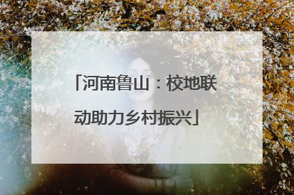 河南鲁山：校地联动助力乡村振兴