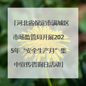 河北省保定市满城区市场监管局开展2025年“安全生产月”集中宣传咨询日活动