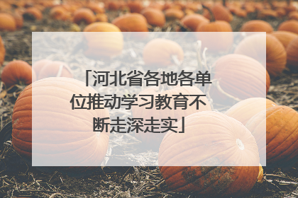 河北省各地各单位推动学习教育不断走深走实