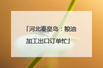 河北秦皇岛：粮油加工出口订单忙